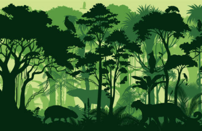 Animales Extraordinarios y Sus Habilidades Únicas